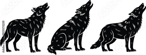 Silhouette illustration of three wolves howling in different postures, standing, sitting, crouching, isolated vector art for wildlife design
