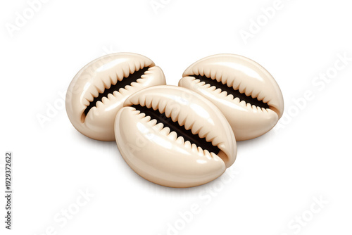 Elegant cowrie shell adornments for jewelry and decoration design