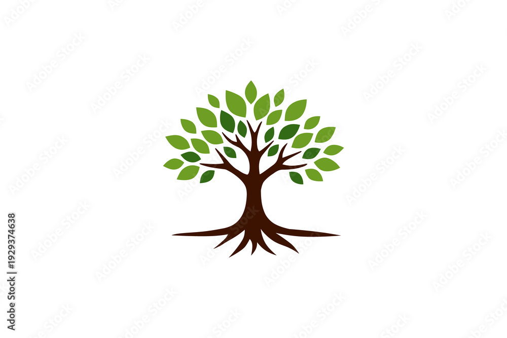 Fototapeta premium green leafed tree vector