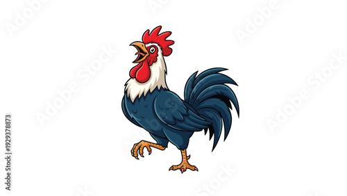 Colorful rooster with blue feathers and a bright red comb crowing while walking on a white background.