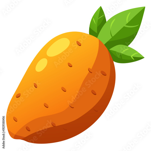 Sweet potato vector illustration white background 