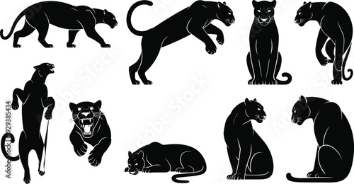 Black silhouette illustration of panthers in multiple poses including walking, leaping, sitting, roaring, and standing representing wildlife strength