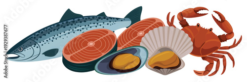 A digital illustration of fresh seafood arranged on a white background (1)_traced