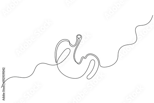 Continuous line drawing of a stomach icon isolated on white background
