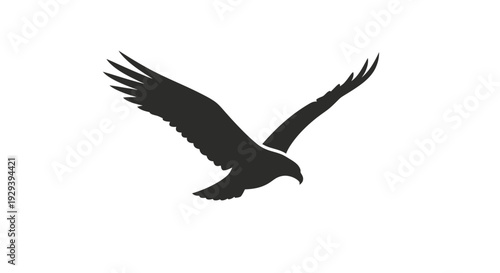 Black Bird Silhouette Flying in Air.