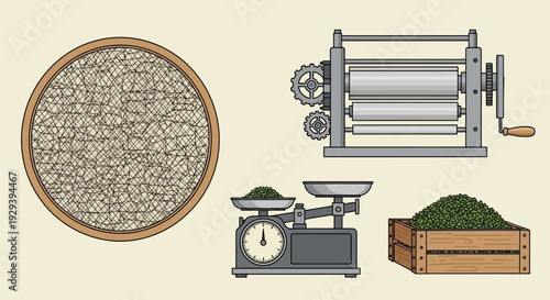 Herbal Processing: Drying, Weighing, and Packaging Herbs for Production