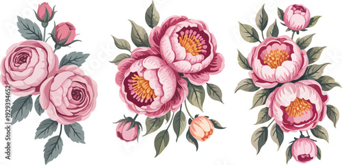 Elegant Pink Rose and Peony Flower Bouquet Vector Illustration Set Featuring Romantic Botanical Floral Arrangements with Isolated Background for Wedding, Greeting Card, and Decoration Design