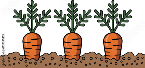 Carrots Growing in Soil Collection Vector Illustration Set Featuring Vegetable Garden Cartoon Design Isolated on White Background for Farming, Organic Food, and Agriculture Projects