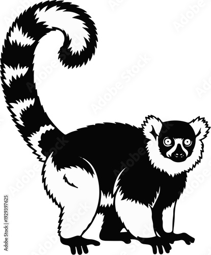 Black and white illustration of a lemur with a striped tail, looking forward