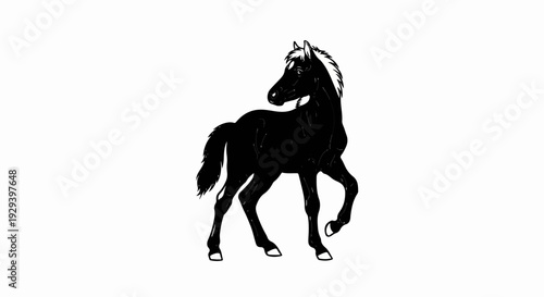 Silhouette of a black horse with white mane and hooves standing