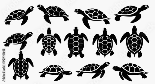 Collection of black sea turtle silhouettes on white background.