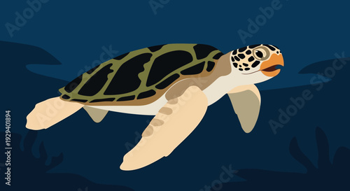 Hawksbill Sea Turtle Swimming Underwater in Dark Blue Ocean.