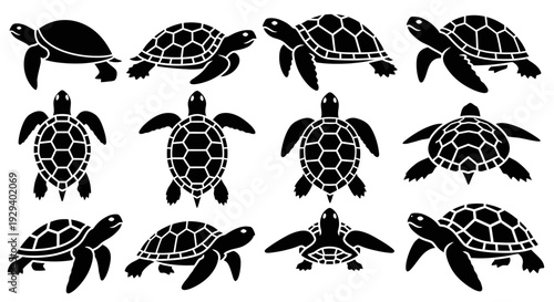 Collection of Sea Turtle Silhouettes in Various Poses.