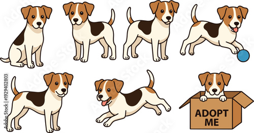 Cartoon illustration of brown and white dog in multiple poses including sitting, walking, playing, running, lying down, and adoption box concept artwork
