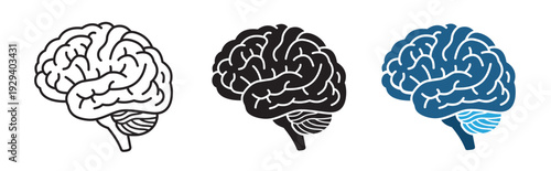 Human brain icon in editable stroke outline version and solid filled vector versions. Representing neurology, intelligence, and mental health.