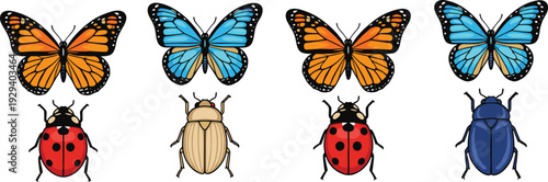 Eight colorful insects arranged in two rows, alternating butterflies and beetles, vibrant pattern showcasing variation, symmetry, and educational design.
