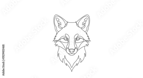 Detailed Line Drawing of a Fox Head.