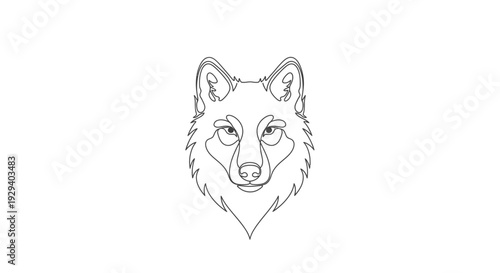 Detailed Line Drawing of Wolf Head.