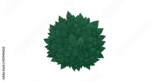 Green Spiky Ball Closeup View.