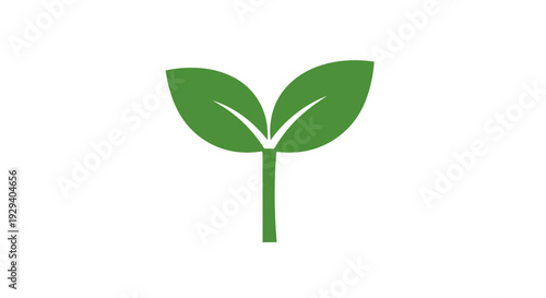 Green Sprout with Two Leaves Illustration.