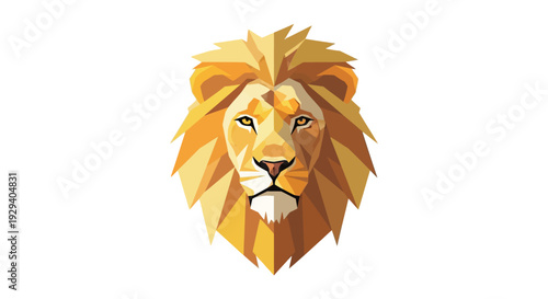 Illustration of a lions head with mane.