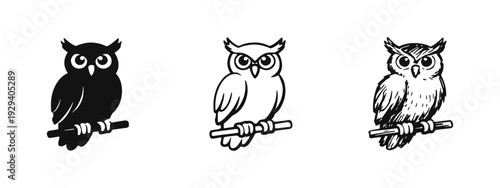 Simple Owl Icons Set - Silhouette, Line Art, and Hand Drawn Styles on Branch