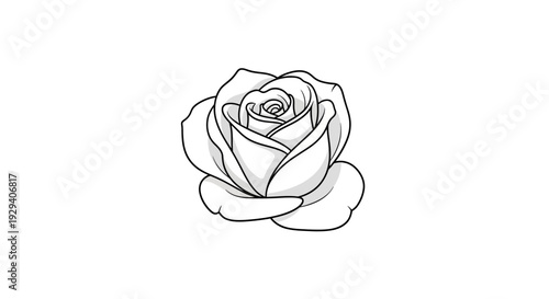 Simple Black and White Rose Illustration.