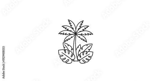 Simple Line Drawing of Palm Tree Leaves.