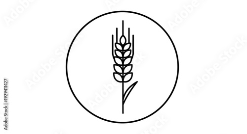 Wheat Stalk Outline Icon in Circle Isolated White Background