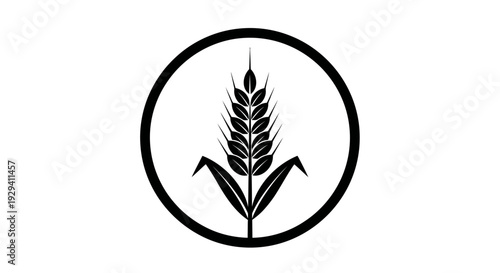 Wheat Stalk Icon in Circle Isolated White Background