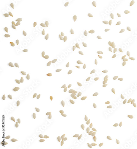Fotografie sesame seeds  isolated on transparent background png