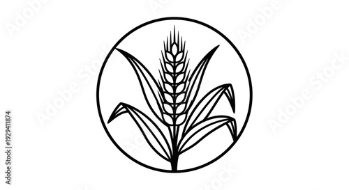 Detailed illustration of wheat or grain stalks in a circular frame, representing agriculture and harvest on isolated white background.