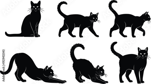 Black cat silhouettes collection, domestic feline poses set isolated on white background vector illustration for Halloween theme