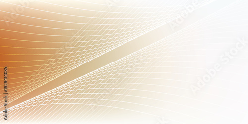 Abstract flowing lines and curves creating a dynamic background.