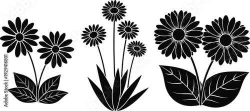 Black and white floral silhouette collection featuring various stylized daisy and sunflower garden plants with elegant leaves isolated on a clean white background for design