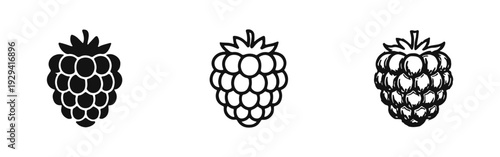 Raspberry Fruit Icon Set: Fresh Berry Symbols in Solid, Outline, and Hand-Drawn Styles for Summer and Desserts