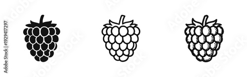Raspberry Icon Set: Solid, Outline, and Hand-Drawn Berry Symbols on White Background