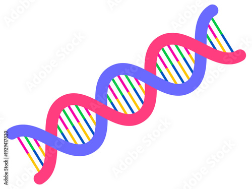 遺伝子DNAの螺旋構造のイラスト素材3