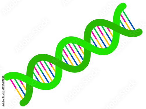 遺伝子DNAの螺旋構造のイラスト素材2