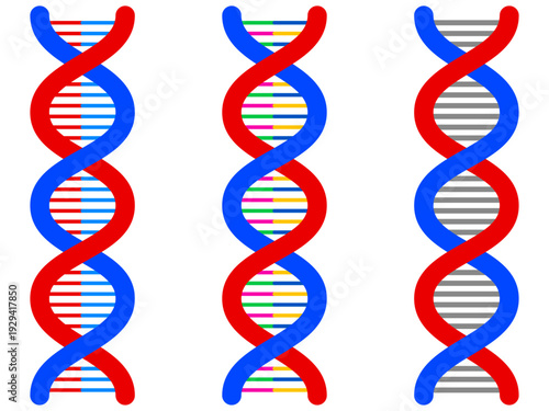 遺伝子DNAの螺旋構造のイラスト素材セット