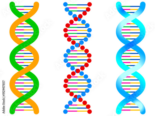 遺伝子DNAの螺旋構造のイラスト素材セット2