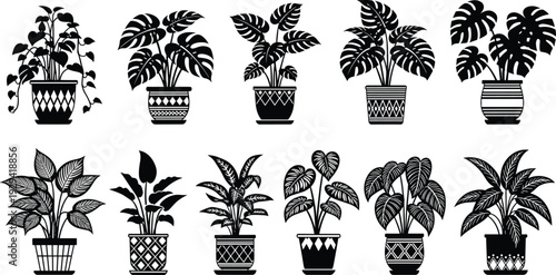 Collection of ten black silhouette potted plants with decorative pots and diverse leaf shapes, vector botanical illustration for home decor, gardening, and design projects