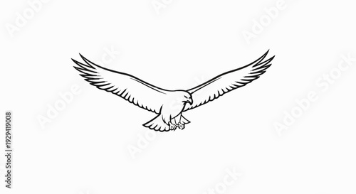 Stylized black line drawing of a bird of prey in flight