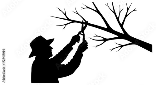 Silhouette of a person wearing a hat, using pruning shears to cut a branch from a bare tree.