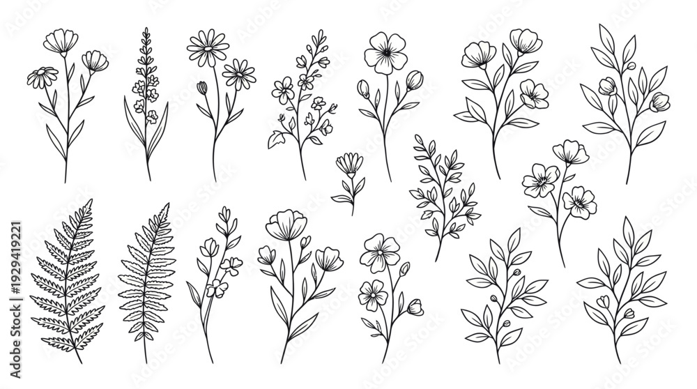 Fototapeta premium A detailed collection of hand-drawn botanical sketches showcasing diverse wildflowers, leaves, and ferns rendered in monochrome line art.