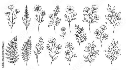 A detailed collection of hand-drawn botanical sketches showcasing diverse wildflowers, leaves, and ferns rendered in monochrome line art.