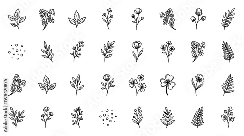 Hand Drawn Botanical Floral Doodles and Ink Leaf Vector Icon Set
