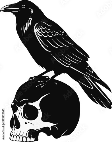 A black crow perched on a human skull in a striking illustration