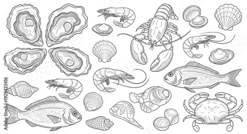 Abundant Fresh Seafood Collection Hand-Drawn Sketch for Culinary Design and Menus