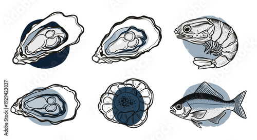 Stylized Aquatic Delicacies Collection on White: Shrimp Fish Oysters Scallop